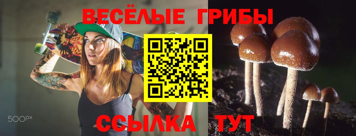Псилоцибиновые грибы прущие грибы Борзя